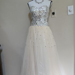 NWT Princess Gown